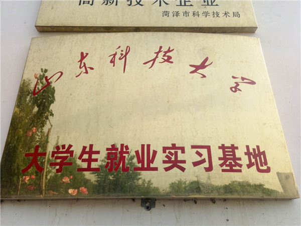 大學生就業(yè)實習基地